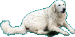 K�tjus�