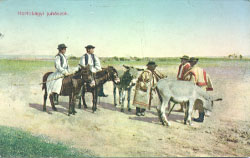 Hortob�gyi juh�szok (Postkarte, 1910)