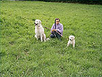 Pause auf der gr�nen Wiese
